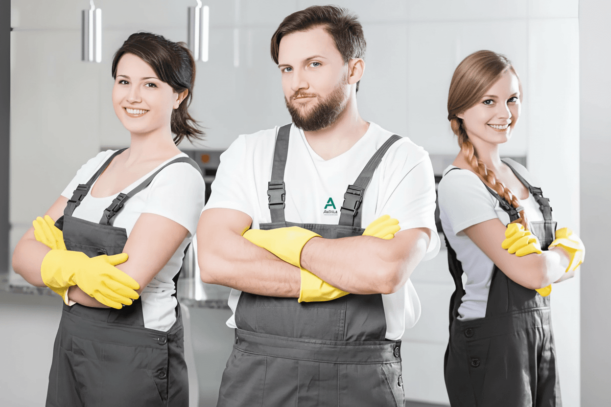 Professional cleaning services